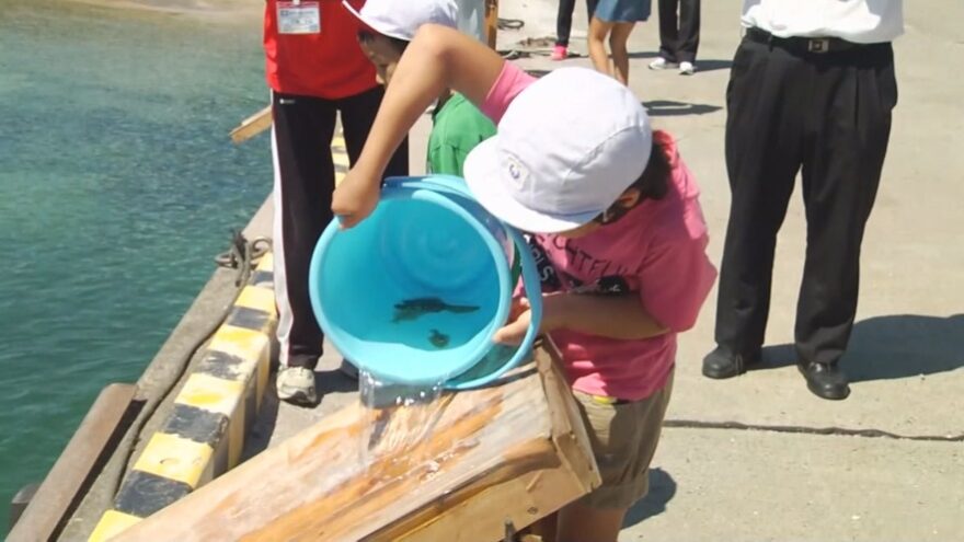 児童がさかなの稚魚を海に放流