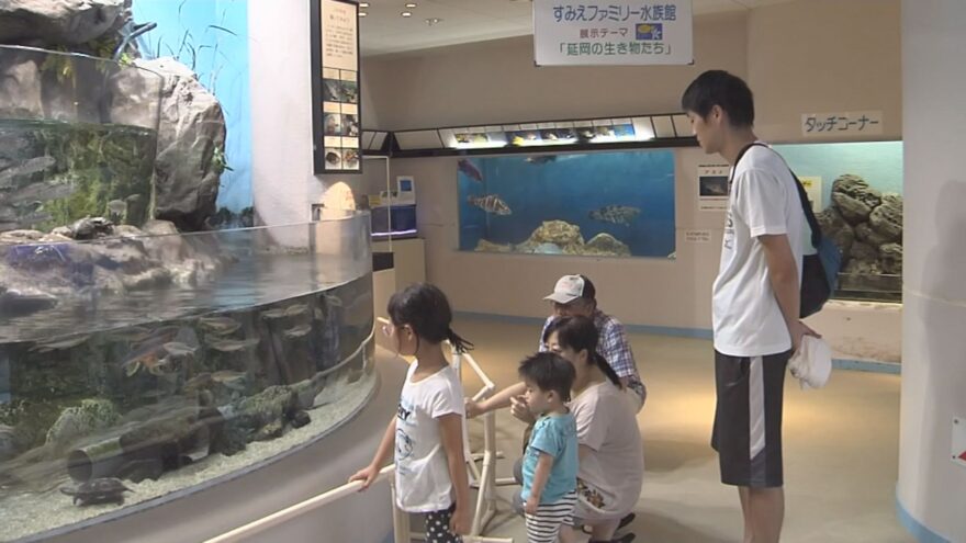 親子で楽しもう！すみえファミリー水族館