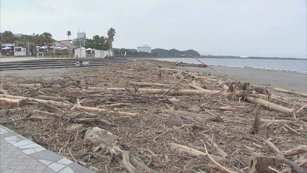 台風で青島に大量の流木 海と日本project In みやざき
