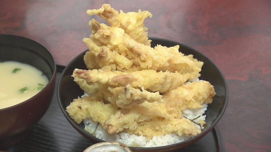 驚きのエビ天丼も！漁港近くの食事処