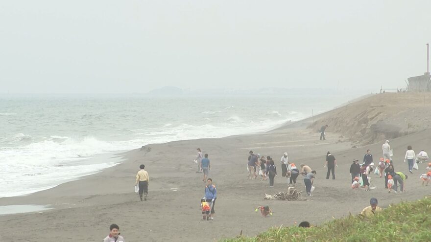 アカウミガメの上陸を守るために海岸清掃