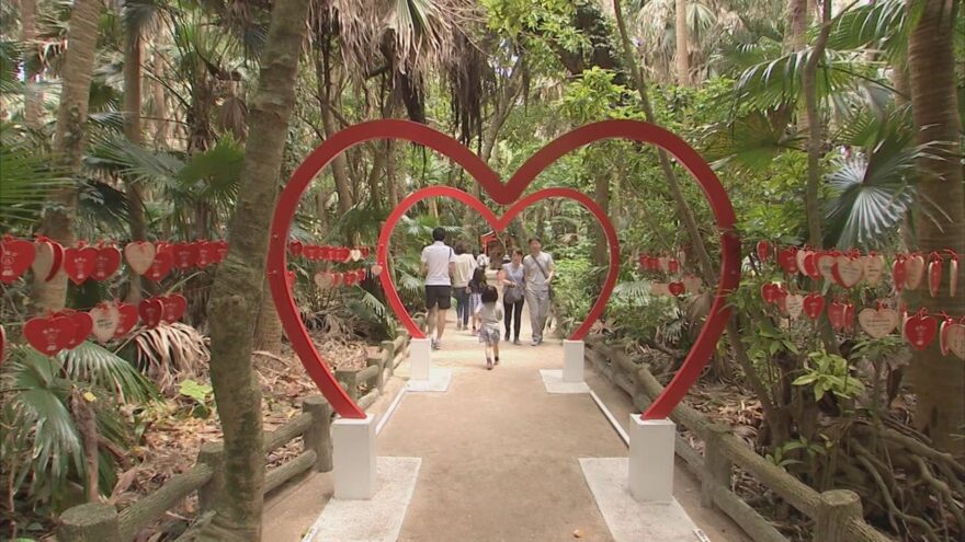 青島神社にハートのトンネル