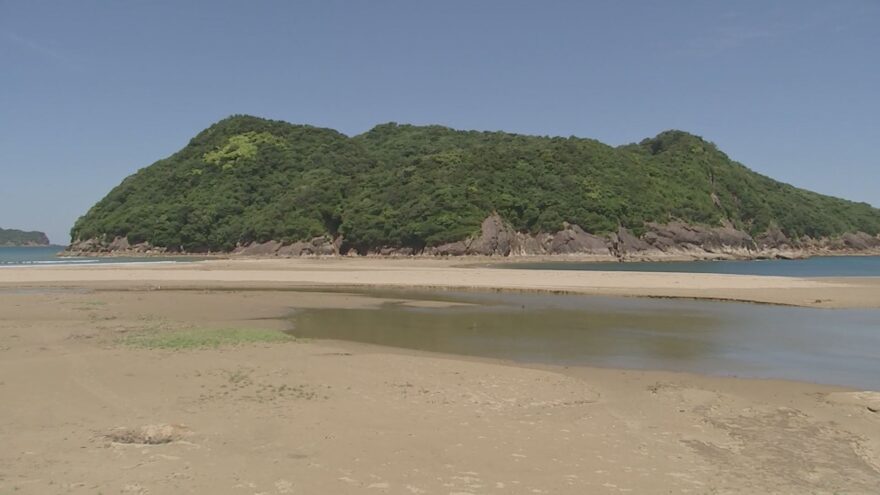 今年も幸島が陸続きに・・