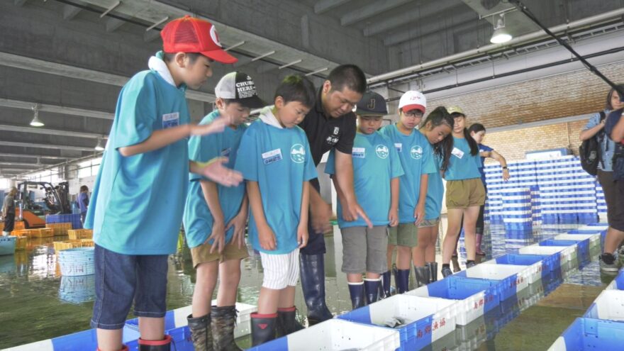 日南市・地元の小学生が魚の水揚げを見学