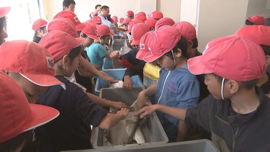 「魚を食べて」宮崎市で食育教室