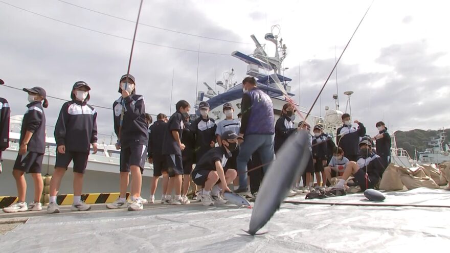 日南市で中学生がカツオ一本釣りに挑戦