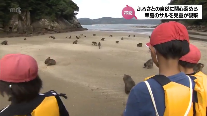 ふるさとの自然に関心を深める　串間市の幸島で地元の小学生が野生のサルを観察