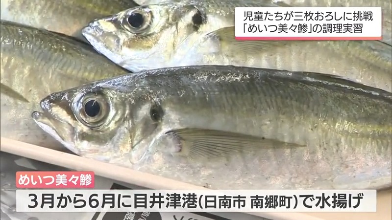 日南市の小学校でブランド魚「めいつ美々鯵」を使った調理実習