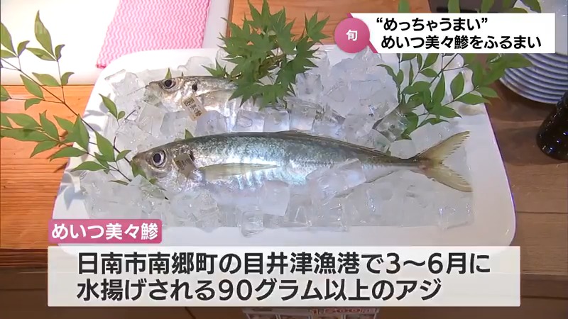 日南市南郷町のブランド魚「めいつ美々鯵」をPR　宮崎市のホテルでふるまい