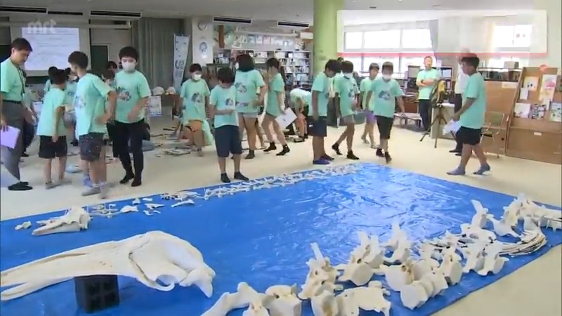 延岡市の小学校で海の生き物や環境問題について学ぶ授業
