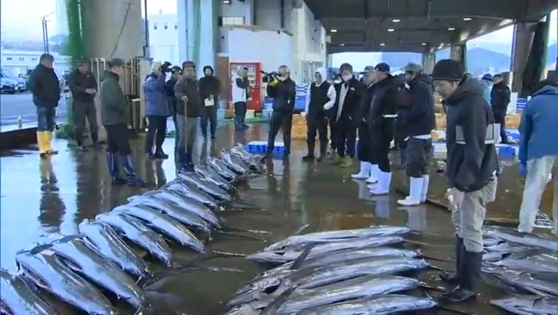 港に活気　日南市南郷町・目井津漁港で初競り