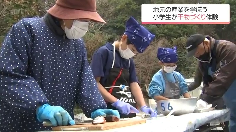 アオアジ約200匹を背開きに　延岡市の小学生が魚の干物づくり体験